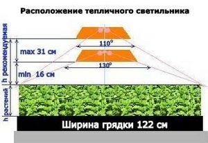 Як зробити фітолампи для рослин своїми руками