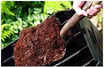 Cum sa faci singur compostul si sa il folosesti in gradina, gradina, gradina, cabana
