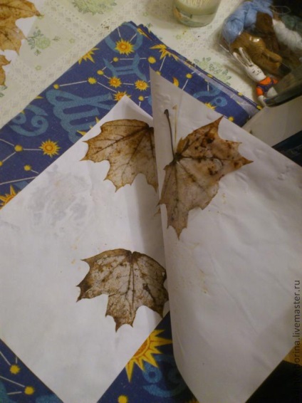 Hogyan skeletization levelek - Fair Masters - kézzel készített, kézzel készített