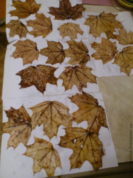 Hogyan skeletization levelek - Fair Masters - kézzel készített, kézzel készített