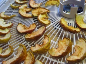 Як сушити яблука в домашніх умовах, якщо немає духовки