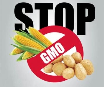 Hogyan védheti meg magát és szeretteit a GMO