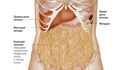 Cum să eliminați grăsimea din abdomen cu o nutriție adecvată și exerciții - viața mea