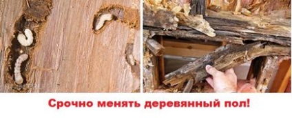 Як вирівняти підлогу в будинку своїми руками з дерев'яними перекриттями