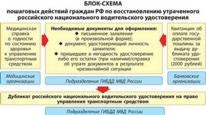 Як відновити права - порядок дій і необхідні документи