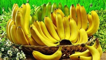 Hogyan kell tárolni a banán, hogy ne megfeketedett otthon - az életem