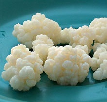 Kefir Ciuperci