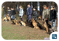 Kennel Club (kennel klub) KC Lianozovo moszkvai szálloda képzés kutyák