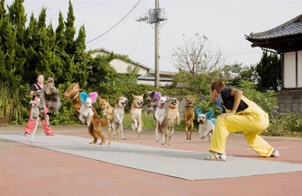 Guinness Book of Records 2012, știri de fotografie