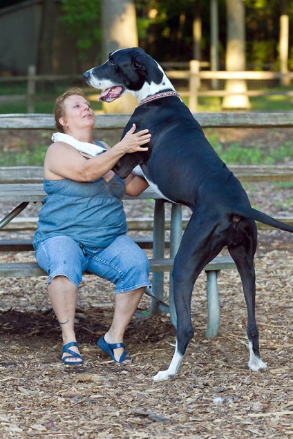 Guinness Book of Records pentru 2012 - știri în fotografii