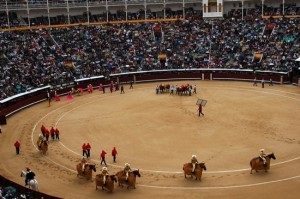 Lupte cu tauri în Madrid, cumpărau bilete pentru lupte cu tauri