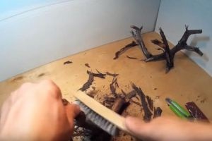 O lovitură la acvariu cu mâinile lor