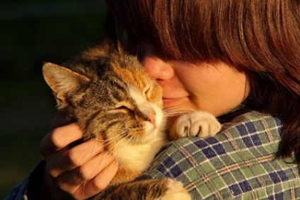 Pisicile experimentează stresul de la proprietarii prea afectuoși - miond un nou val
