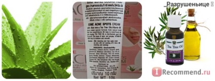 Crema pentru acnee crema crema de acnee isme cu ulei de arbore de ceai și aloe vera - 