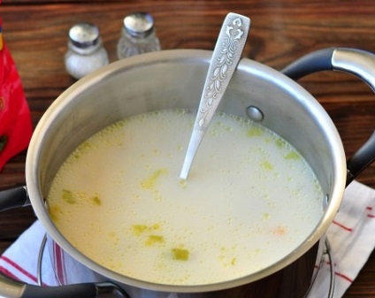 Supa de pui cu brânză și ciuperci, rețete principale