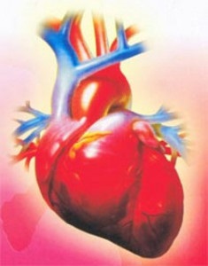 Hipertensiunea arterială arterială la labilă - tratament cardiac