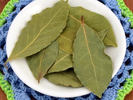 Frunza de brad în medicina populară, aplicație și frunze de dafin folositoare