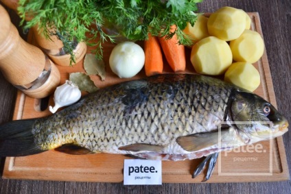 Ușor de supă de pește de la crap - o rețetă cu fotografii - patee