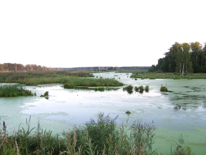 Elk Island cum să ajungi acolo, monumente naturale, locuitori, rute