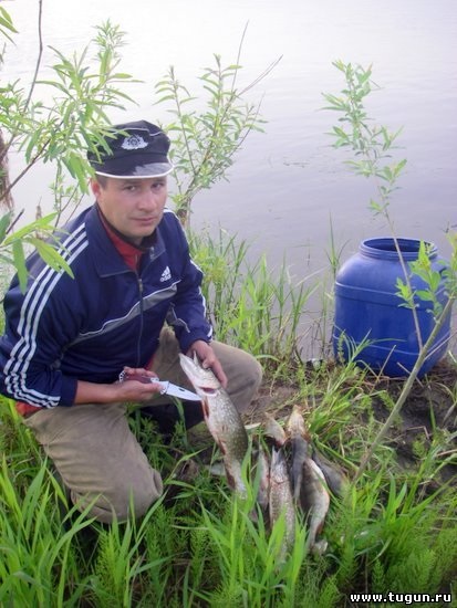 Ловля трофейної щуки на а - рибалка на ангарі - літня рибалка - статті про риболовлю - рибалка в сибіру
