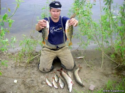 Pescuitul de trofeu pe un pescuit pe hangar - pescuit de vară - articole despre pescuit - pescuit în Siberia