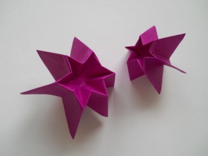 Poppy - flori Origami - Figurine din hârtie cu mâinile lor
