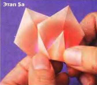 Mac origami