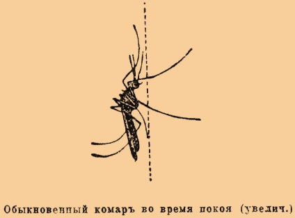 Малярійний комар - це