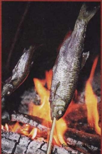 Metode de gătit pește în câmp