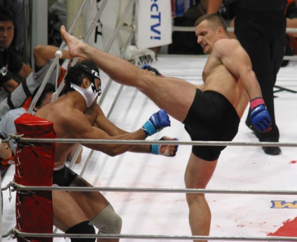 Mirko Crocus se întoarce, Thai Boxing - Muay Thai Kickboxing