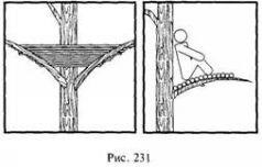 Pe mlaștină, solul puternic umezit - o școală de supraviețuire în condiții naturale