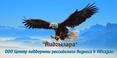 Напрямки діяльності - бізнес в Абхазії