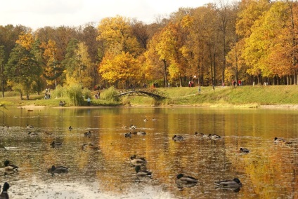 Національний парк Лосиний острів, де знаходиться