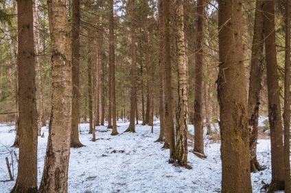 Parcul Național Elk Island, unde