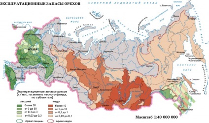 Недеревні ресурси лісу