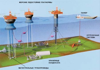 Petrol și gaze din estimările și prognozele rafturilor ruse, știință și viață