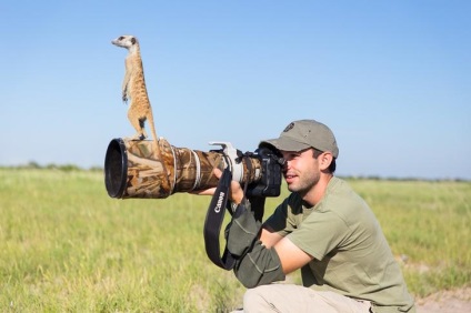 Prietenie neobișnuită între fotograf și meerkats