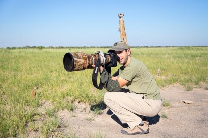 Prietenie neobișnuită între fotograf și meerkats