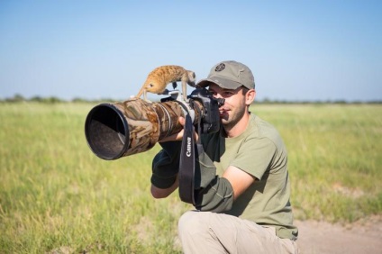 Prietenie neobișnuită între fotograf și meerkats