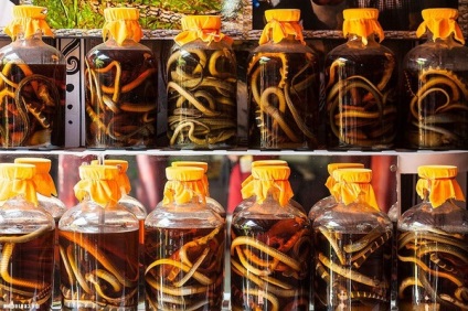 Незвичайні напої частина 1 - рисова горілка - зміїний еліксир