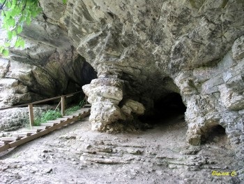 Мавпячий розплідник в сочи в сочи - як дістатися