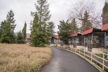 Мавпячий розплідник в сочи в сочи - як дістатися