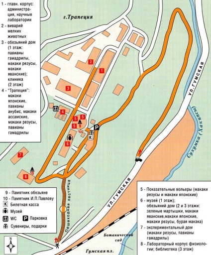 Мавпячий розплідник в Сухумі - чи варто відвідати (відгуки і фото)