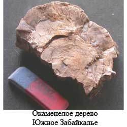 Обробка скам'янілого дерева, кольорові камені трансбайкальского регіону