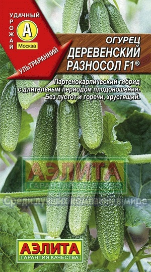 Castraveți rustic raznosol f1® cumpăra semințe de producători de en-gros și de vânzare cu amănuntul de castraveți
