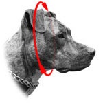 Нашийник-зашморг ланцюг для собак «control dog»