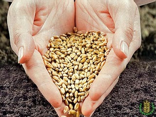 Fundamentele selecției și producției de semințe