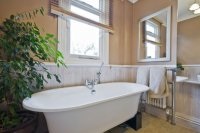 Обробка ванної кімнати які квіти в горщиках вибрати для ванної кімнати ремонт в кожен будинок