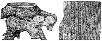 Az erdők védelme és az ültetvények - Gyermek Encyclopedia (első kiadás) (csökkent mintegy kétszerese) Az erdők védelme és az ültetvények - Gyermek Encyclopedia (első kiadás)