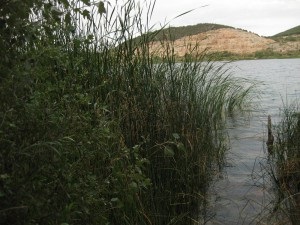 Lacul de lângă munte